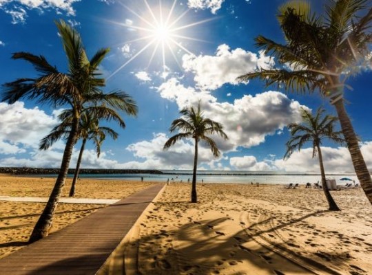 Tenerife, a Kanári-szigetek ékköve – csoportos utazás magyar idegenvezetéssel 2026.07.20-27. Csoportos utazások, Nyári csoportos utak, Csoportos felfedezőutak, Különleges ajánlatok, Gyerekbarát utak, Utazások felnőtteknek, Felfedezőutak, Dél-Európa, Spanyolország