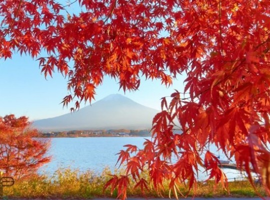 Momidzsi, az ősz csodája - Japán nagy körutazás magyar idegenvezetéssel 2026.10.19-10.31. Csoportos utazások, Őszi csoportos utak, Csoportos felfedezőutak, Csoportos egzotikus utak, Különleges ajánlatok, Nászutas ajánlatok, Utazások felnőtteknek, Felfedezőutak, Ázsia, Japán