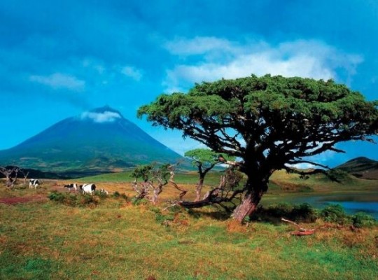 A varázslatos Azori-szigetek - csoportos körutazás magyar idegenvezetéssel 2026.08.16-23. Csoportos utazások, Nyári csoportos utak, Csoportos felfedezőutak, Csoportos egzotikus utak, Különleges ajánlatok, Gasztrotúrák, Felfedezőutak, Dél-Európa, Portugália, Azori-szigetek