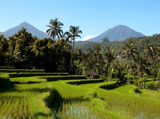 Bali: az istenek szigete -  csoportos utazás tengerparti pihenéssel, magyar idegenvezetővel  2026.11.04-15. Csoportos utazások, Őszi csoportos utak, Csoportos felfedezőutak, Csoportos egzotikus utak, Különleges ajánlatok, Nászutas ajánlatok, Utazások felnőtteknek, Felfedezőutak, Ázsia, Indonézia (Bali, Jáva) 