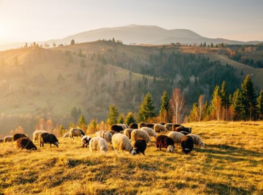 Skócia – kalandozás a whisky, a dudaszó és a kockás szoknya hazájában 2026.09.19-23. Csoportos utazások, Őszi csoportos utak, Csoportos hosszú hétvégék, Különleges ajánlatok, Felfedezőutak, Észak-Európa, Skócia, , , , , 