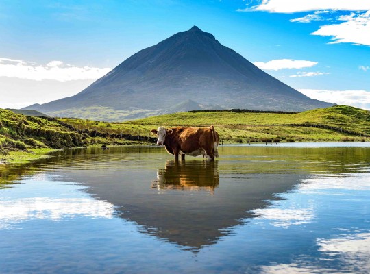 A varázslatos Azori-szigetek - csoportos körutazás magyar idegenvezetéssel 2026.09.19-26. Csoportos utazások, Őszi csoportos utak, Csoportos felfedezőutak, Csoportos egzotikus utak, Különleges ajánlatok, Gasztrotúrák, Felfedezőutak, Dél-Európa, Portugália, Azori-szigetek