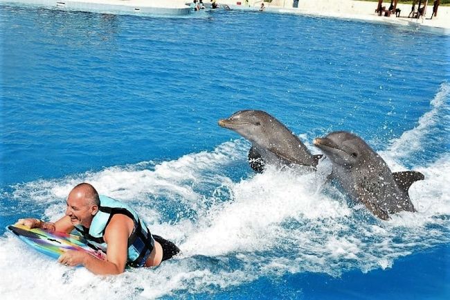 Úszás a delfinekkel