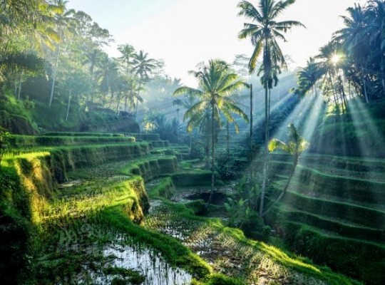 Szingapúr, Bali, Lombok és a Gili-szigetek - körutazás 5*-os tengerparti pihenéssel 2026.12.26.-2027.01.08. Csoportos utazások, Téli csoportos utak, Szilveszteri csoportos utak, Csoportos egzotikus utak, Különleges ajánlatok, Felfedezőutak, Ázsia, Indonézia (Bali, Jáva) , Szingapúr