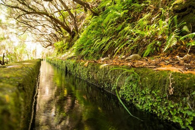 levada ösvény