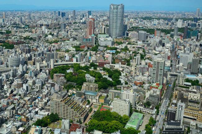 A japán tavasz ünnepe - csoportos nagykörút magyar idegenvezetéssel 2027.03.16-28.
