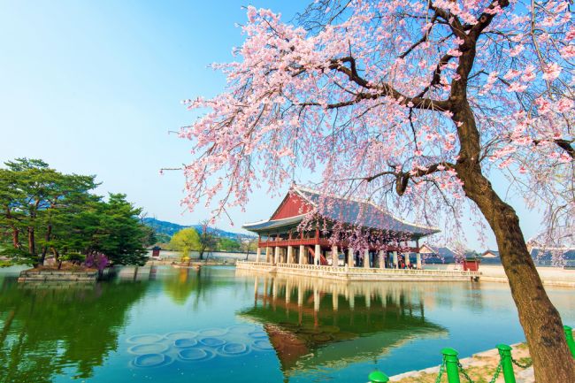 Kjongbokkung palota tavasszal (Dél-Korea)