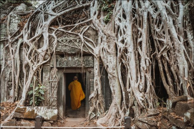 Ta Prohm