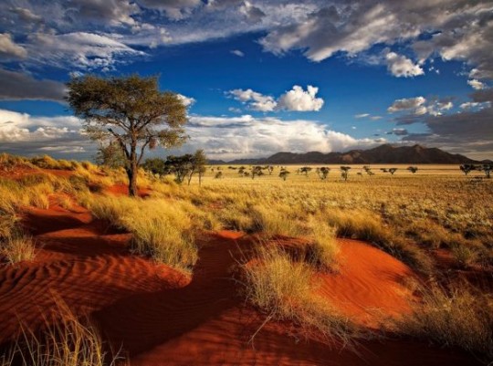 Namíbia vörös dűnéitől Fokváros kék horizontjáig – kiscsoportos utazás Afrika déli tájain 2027.02.24.-03.09. Csoportos utazások, Téli csoportos utak, Csoportos felfedezőutak, Csoportos egzotikus utak, Különleges ajánlatok, Felfedezőutak, Afrika, Dél-Afrika, Namíbia