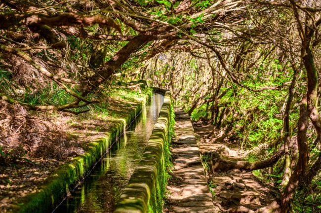levada ösvény
