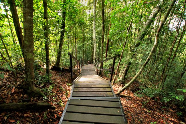 Taman Negara Nemzeti Park