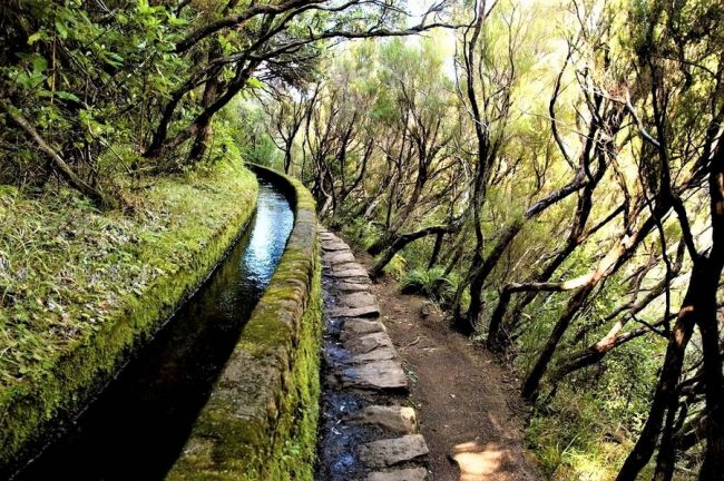 levada ösvény