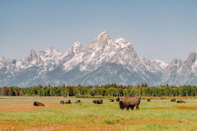 A Grand Teton fenséges sziklacsúcsai Wyoming szívében