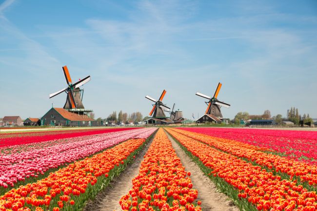 Zaanse Schans
