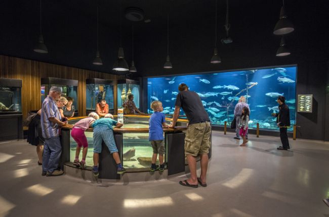 Halászati és Tengerészeti Múzeum akváriumai