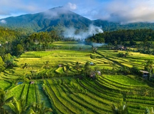 Bali: az istenek szigete – csoportos utazás tengerparti pihenéssel, magyar idegenvezetővel – 2027.07.20.-08.02. Csoportos utazások, Nyári csoportos utak, Csoportos felfedezőutak, Csoportos egzotikus utak, Különleges ajánlatok, Nászutas ajánlatok, Utazások felnőtteknek, Felfedezőutak, Ázsia, Indonézia (Bali, Jáva) 